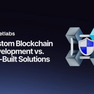 Custom Blockchain Solutions